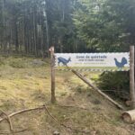 Les bons réflexes pour la quiétude de la biodiversité : micro rando quiz