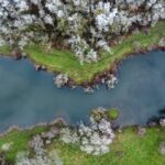 La Moselle sauvage en fête !