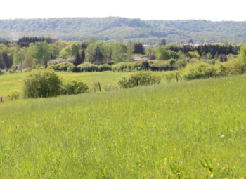 La Champagne humide en Grand Est : un arc d’importance nationale pour les zones humides