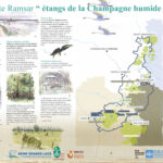 lieu : Presqu'île de Champaubert (lac du Der Chantecoq)  –  en accès libre / exposition extérieure2