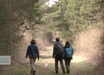 Agir pour demain : au cœur du réseau Natura 2000 en Grand Est