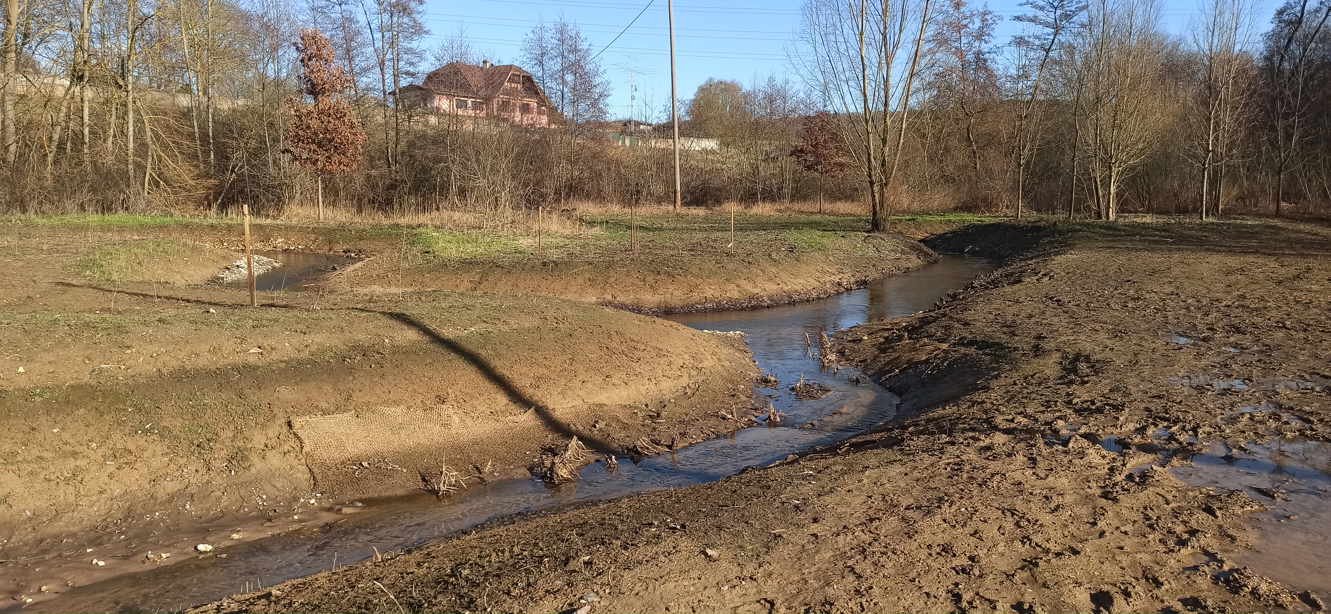 Renaturation et reméandrage de la Stillbach à destination des élus