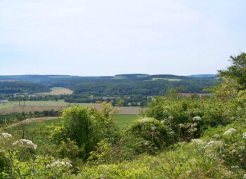 Les Plateaux calcaires : une macro-région diversifiée et forestière en Grand Est